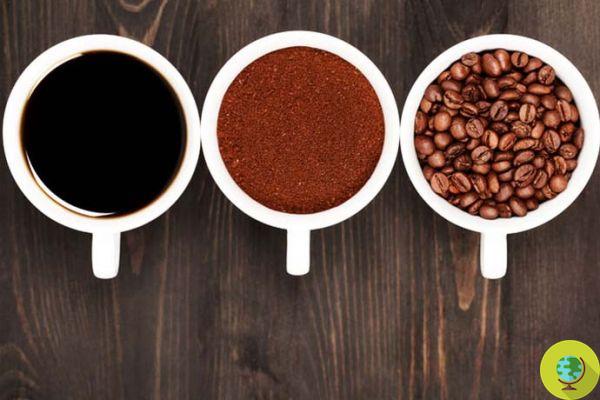 Café: 3 tazas al día protegen el corazón