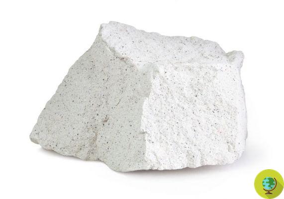 Zeolite: the mineral that absorbs metals and fights free radicals