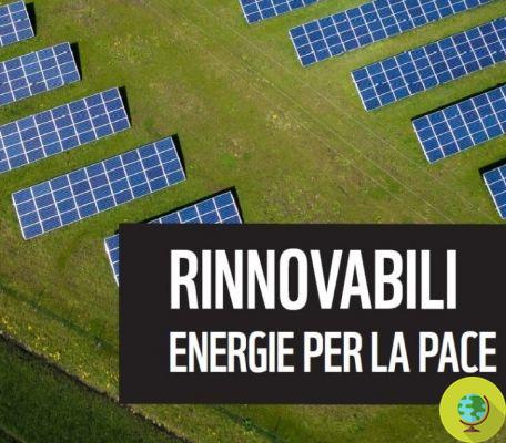 Fotovoltaica, WWF: solo el 1% del territorio es suficiente para un estado 100% renovable