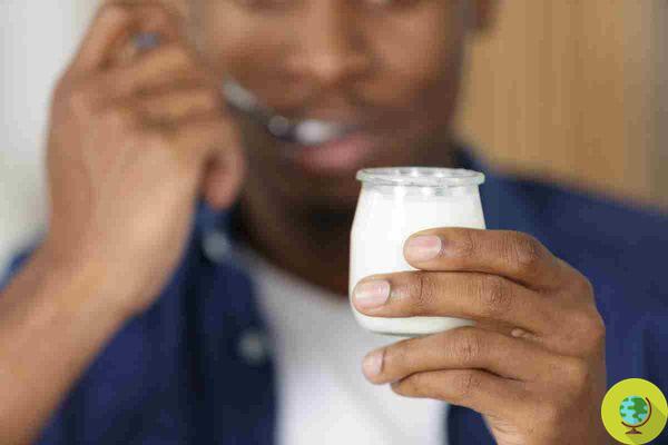 Dois iogurtes por semana previnem câncer de intestino
