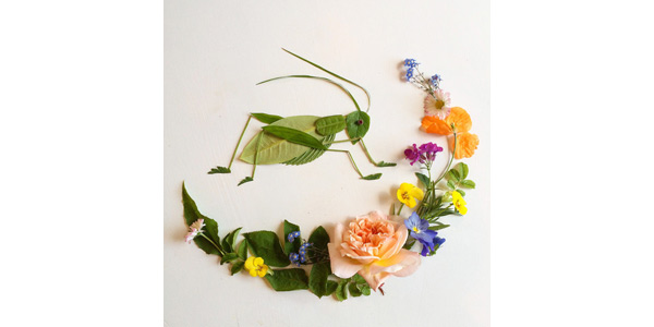 The works of art made using leaves and petals (PHOTO)