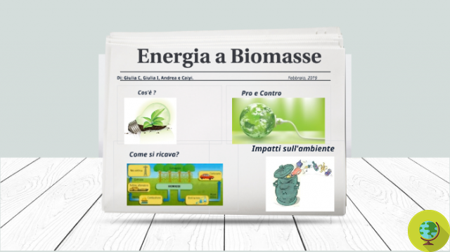 Biomasse : le bon, le mauvais et le mauvais de l'énergie gaspillée