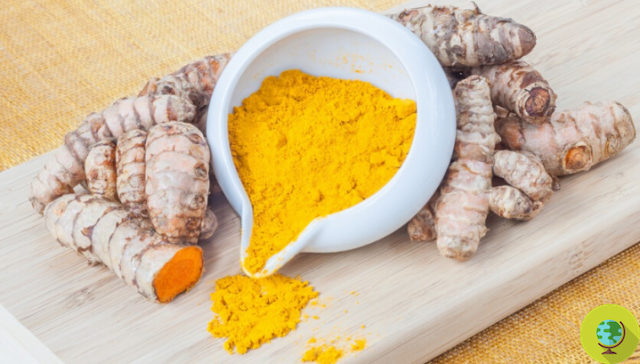 Turmeric: strengthens the immune system and protects against infections