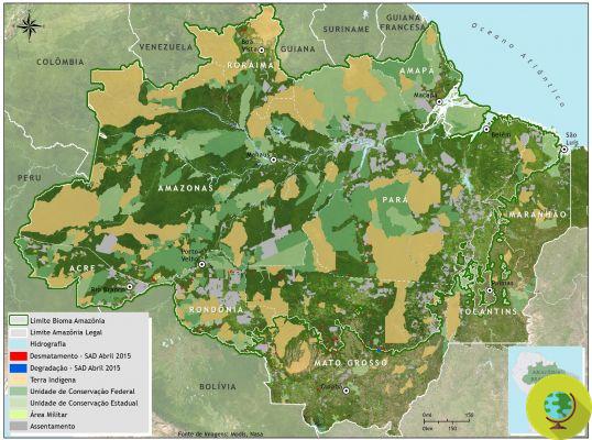 Amazonia: almost half of the territory is protected by law. But is it really so?