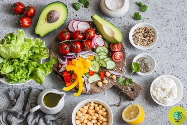 Green Med: a dieta mediterrânea 