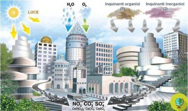 Green building : le ciment biologique qui absorbe le Co2