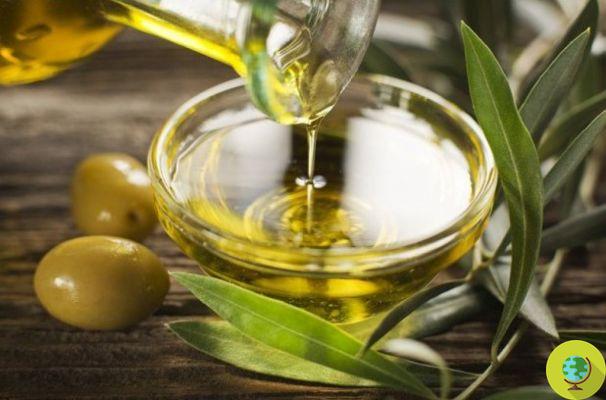 Olive oil increases the sense of satiety