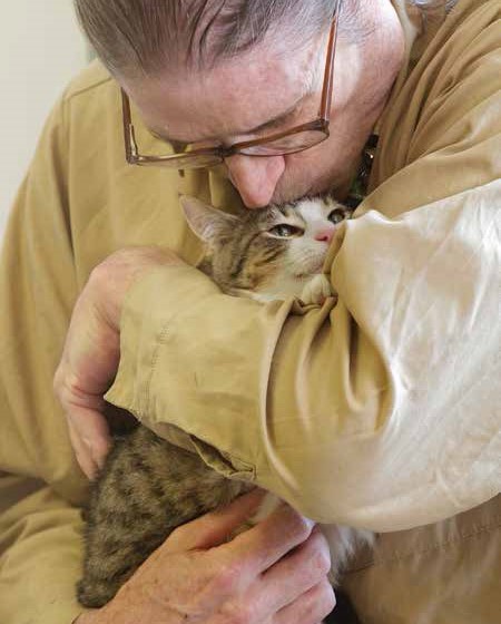 The prison opens its doors to abandoned cats and the therapeutic effect on the inmates is impressive