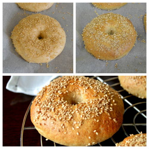 Bagel: the recipe with sourdough to prepare them at home