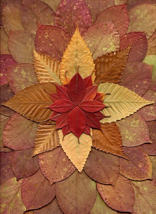 As fantásticas mandalas feitas com folhas caídas no outono (FOTO e VÍDEO)