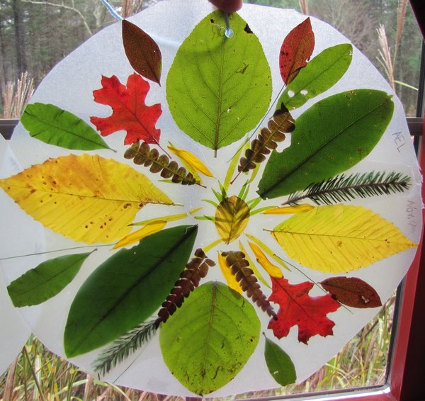 Los fantásticos mandalas hechos con hojas caídas en otoño (FOTO y VIDEO)