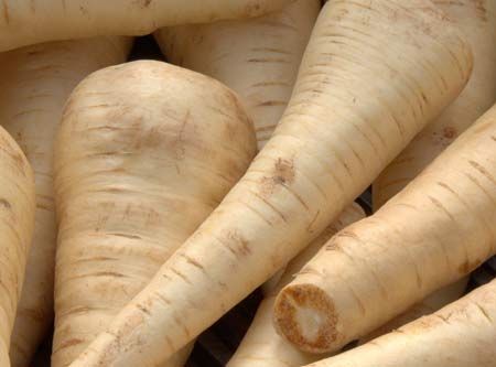 Parsnip: properties, benefits and nutritional values