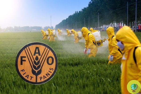 FAO reaches out to pesticide lobbies and alerts hundreds of scientists around the world