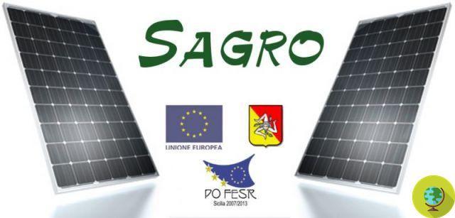 Photovoltaïque organique : en Sicile des cellules solaires à partir de déchets oranges
