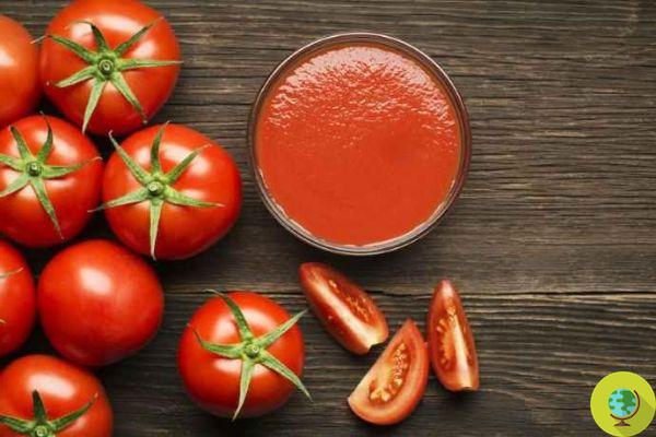 Salsa de tomate amigable con el intestino. Estimula las bacterias buenas.
