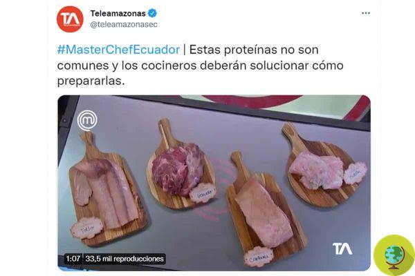 En MasterChef se cocina carne de animales salvajes protegidos, enfadando a Ecuador (y más allá)