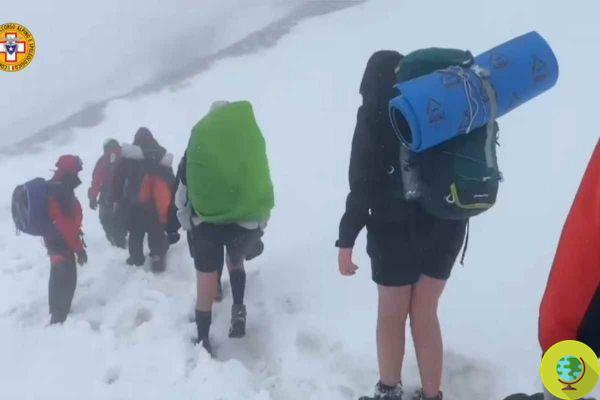 De shorts no meio de uma nevasca, esses escoteiros realmente arriscaram suas vidas