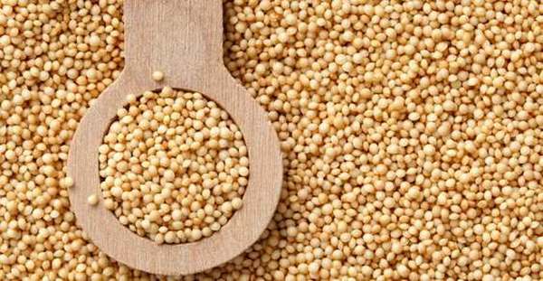Amaranth: properties, benefits, nutritional values ​​and glycemic index