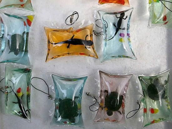 Turtles and fish sealed inside keychains outrage the web (video)
