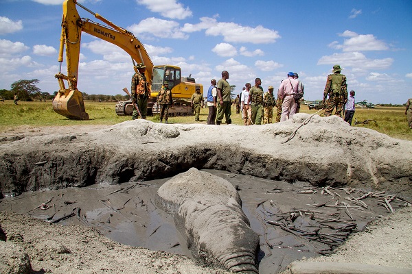 O elefante preso na lama salvou-se apenas graças a alguns trabalhadores chineses no Quênia (VIDEO)