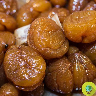 Ricette con le castagne: candied chestnut