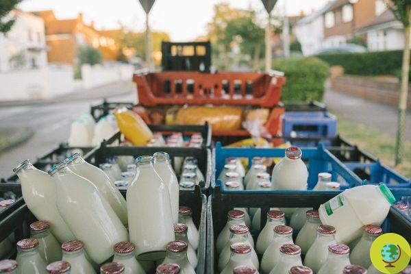A Londres, on revient à la livraison de lait en bouteilles de verre pour réduire les déchets plastiques