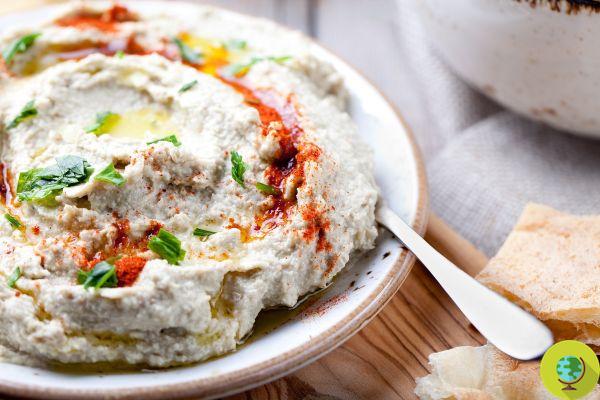 Baba ganoush and mutabbal: differences and traditional recipes of Middle Eastern eggplant cream
