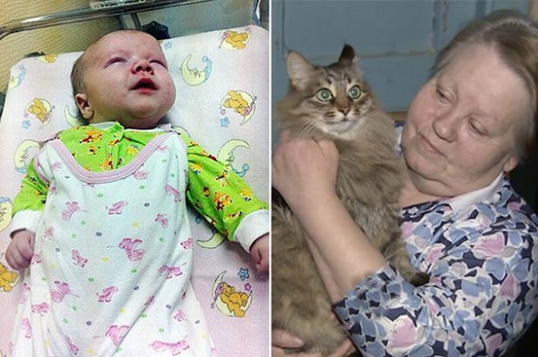 Masha, the stray cat who saved a child from freezing