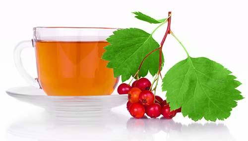 Hawthorn: phytotherapeutic properties, all uses and CONTRAINDICATIONS