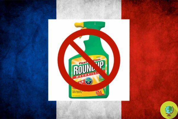 En Francia, subsidios y ayudas económicas para agricultores que dejen de usar glifosato
