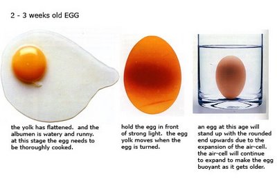 Œufs frais : comment reconnaître les meilleurs œufs à la couleur du jaune