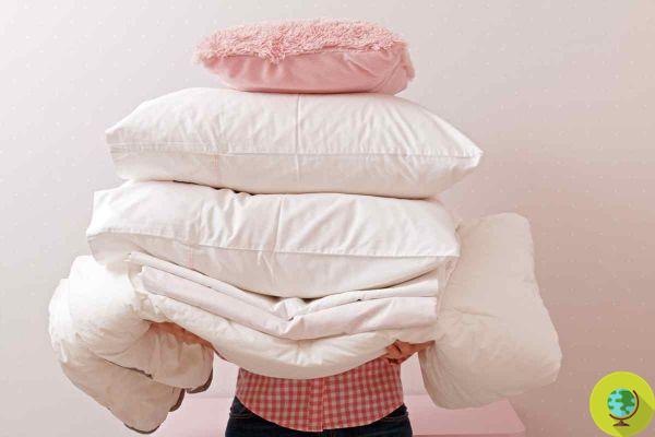 ¿Cómo y cuándo limpiar los cojines? Los trucos para lavar, quitar y secar tu almohada