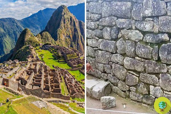 Machu Picchu vandalized: tourists cause a collapse and defecate inside the Unesco Heritage
