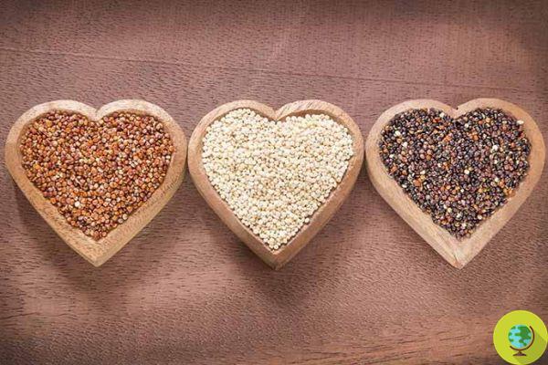 A quinoa é um cereal? Depende de quem você perguntar