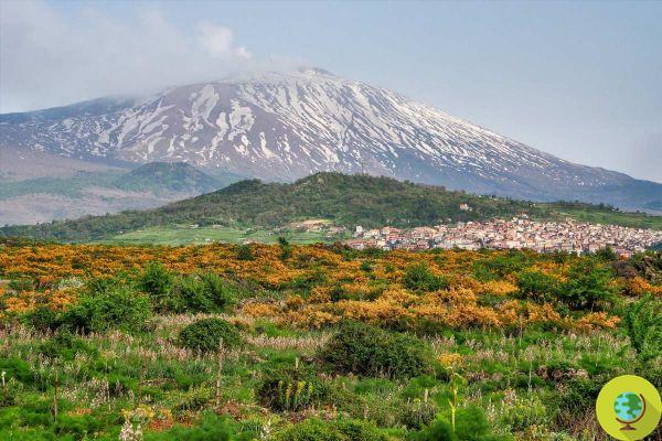 Precisamos de mais áreas protegidas, mas estamos prestes a reduzir a do Parque Etna