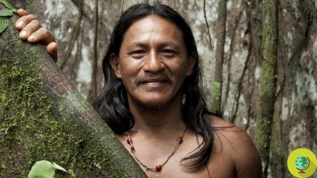 Yasuni: that illegal oil road that threatens uncontacted tribes and the Amazon rainforest (PETITION)