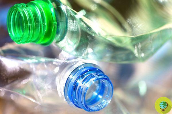Collecte sélective : 6 choses à savoir sur le bon recyclage du plastique. Corepla enlève tous les doutes