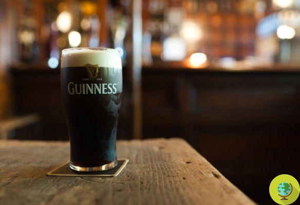 Guinness goes vegan: goodbye to isinglass in beer production