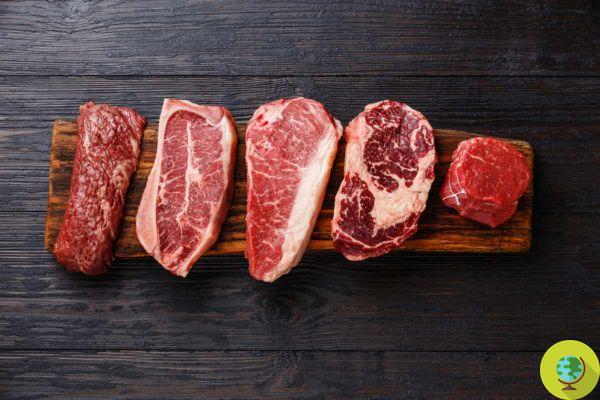 An extra half serving of meat a day reduces your life by 13%