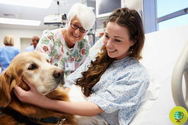 Animais em hospitais e lares de idosos: portas abertas na Lombardia