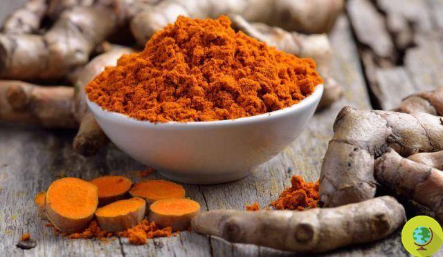 From turmeric a potential therapy for tumors caused by HPV