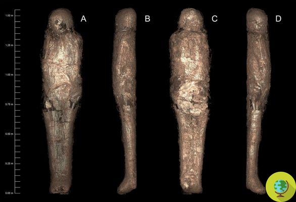 Múmia antiga encontrada enterrada em um estranho casulo nunca visto por arqueólogos