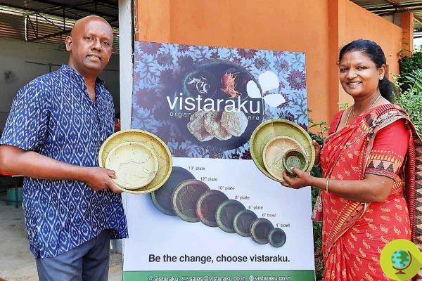 Os pratos compostáveis ​​feitos com as folhas que estão fazendo emancipar as mulheres de uma aldeia indígena