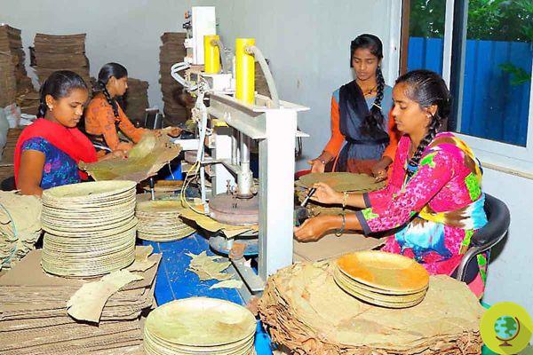 The compostable dishes made with the leaves that are making the women of an Indian village emancipate