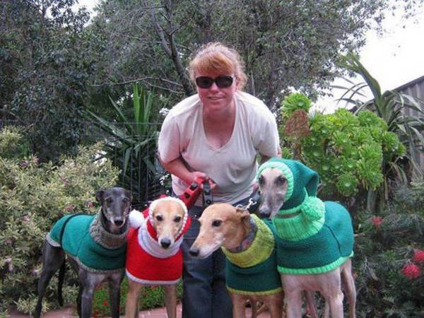 Jan Brown, la mujer que hace jerséis para proteger del frío a los perros abandonados