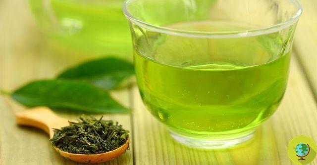 Té verde: ¿realmente te ayuda a adelgazar?