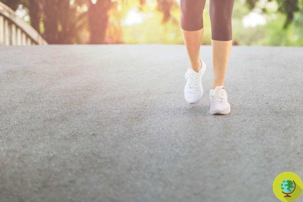 Un nuevo estudio revela exactamente cuánto debe caminar para reducir su riesgo de enfermedad cardíaca