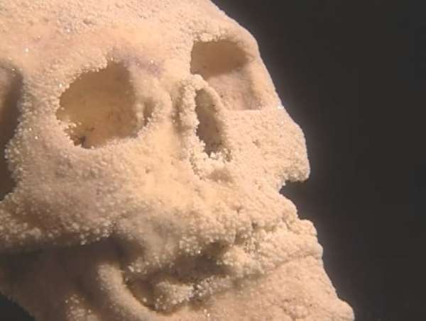 Cráneos y huesos cristalizados en la misteriosa Cueva del Río Talgua