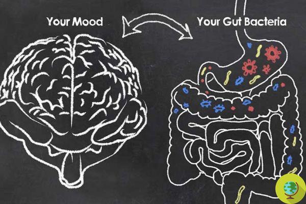Depression: The cause may be in your gut