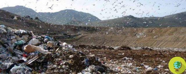 Waste: the stench creates illness in Terzigno